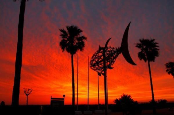 ホテル High Flyers Kite House タリファ エクステリア 写真